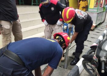 Aksi Penyelamatan Pertama Call Center 112, Evakuasi Kucing Tersangkut di Gunung Telihan