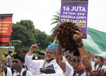 Aksi Demo Petani Sawit Tidak Bisa Dianggap Remeh, Pakar Singgung Hal Penting Ini