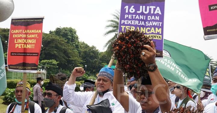 Aksi Demo Petani Sawit Tidak Bisa Dianggap Remeh, Pakar Singgung Hal Penting Ini