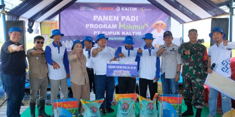 Dorong Kemandirian Petani, Program Makmur Pupuk Kaltim Dongkrak Hasil Padi Pinrang hingga 9,1 Ton Per Hektare