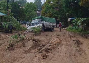 Komisi III DPRD Kaltim, Veridiana Huraq Wang Usulan Perbaikan Jalan di 3 Kecamatan Di Kukar