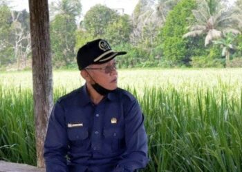 Kembangkan Sektor Pertanian di PPU, DPRD Kaltim  Nilai Perlu Kolaborasi Pemprov dan Pemda