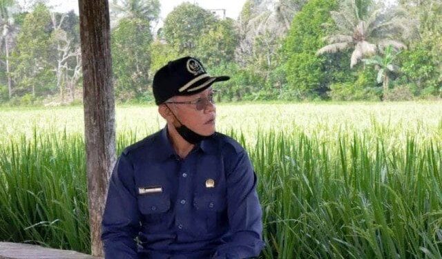 Kembangkan Sektor Pertanian di PPU, DPRD Kaltim  Nilai Perlu Kolaborasi Pemprov dan Pemda