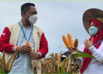 Seno Aji Apresiasi Petani di Kukar, Sejumlah Bantuan Disalurkan