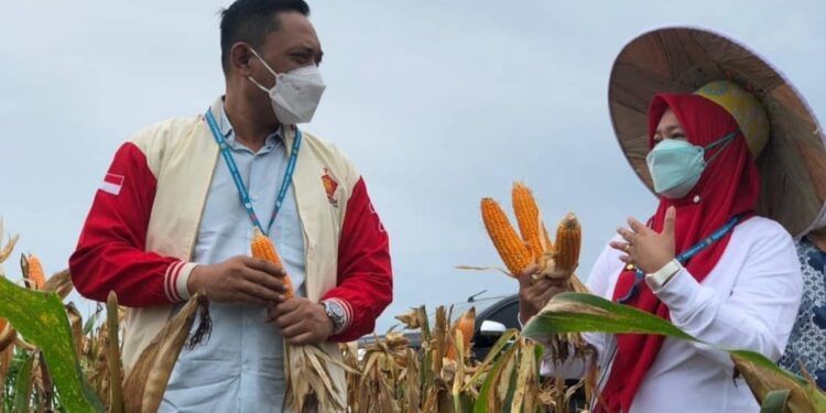 Seno Aji Apresiasi Petani di Kukar, Sejumlah Bantuan Disalurkan