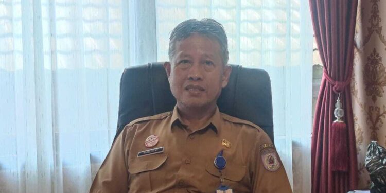 Capaian Realisasi Meningkat, Kabid Penanaman Modal Optimisme Terus Tumbuh