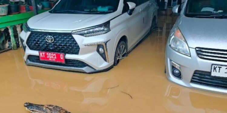 Hoaks Buaya Masuk Pemukiman Warga Bontang, Ternyata Editan
