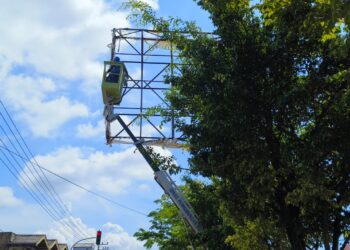Baliho Usang Dibongkar, Pemkot Bontang Tertibkan Tata Ruang