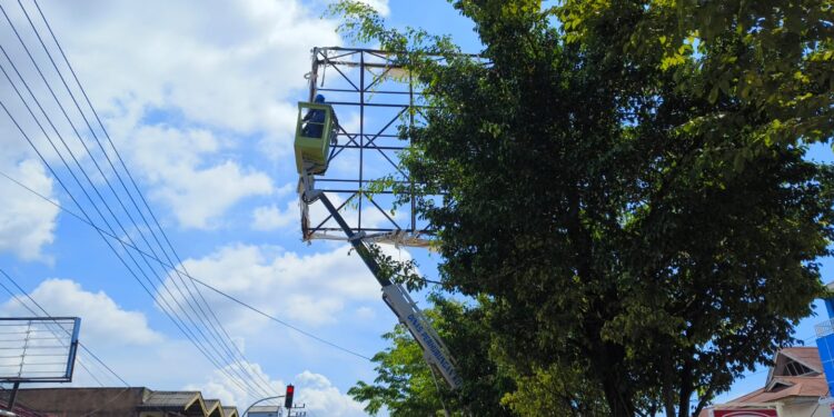 Baliho Usang Dibongkar, Pemkot Bontang Tertibkan Tata Ruang