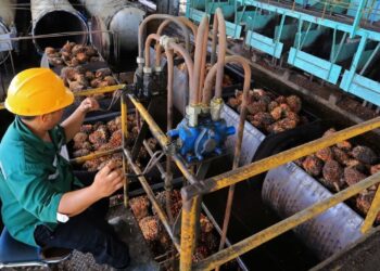 DPM-PTSP Bontang Dorong PT EUP Hilirisasi Produk Turunan Kepala Sawit