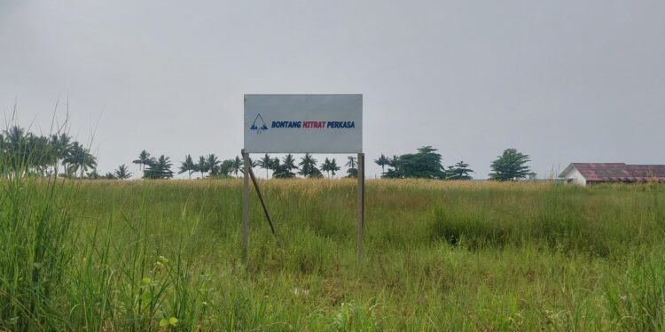Kembali Sambangi PT Black Bear, DPM-PTSP Bontang Koordinasi Terkait Rencana Ekspansi Bisnis Perusahaan