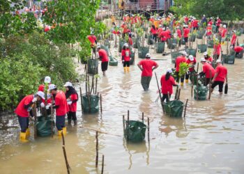 Pupuk Kaltim Tanam 1.000 Bibit Mangrove di Pulau Gusung untuk Cegah Abrasi