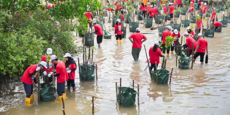 Pupuk Kaltim Tanam 1.000 Bibit Mangrove di Pulau Gusung untuk Cegah Abrasi