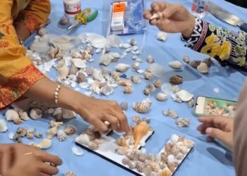 Dispopar Bontang Dorong Pemanfaatan Limbah Kerang Jadi Produk Bernilai Ekonomi