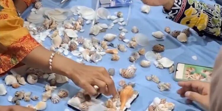 Dispopar Bontang Dorong Pemanfaatan Limbah Kerang Jadi Produk Bernilai Ekonomi