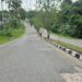 Sahib Akui Keterbatasan Anggaran Daerah Jadi Kendala Penanganan Jalan Nasional